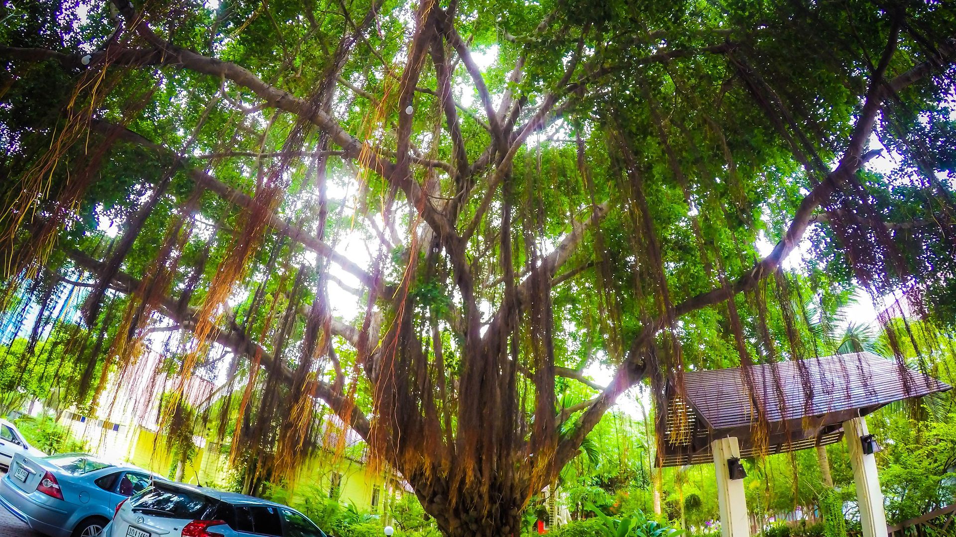 Natural Park Pattaya