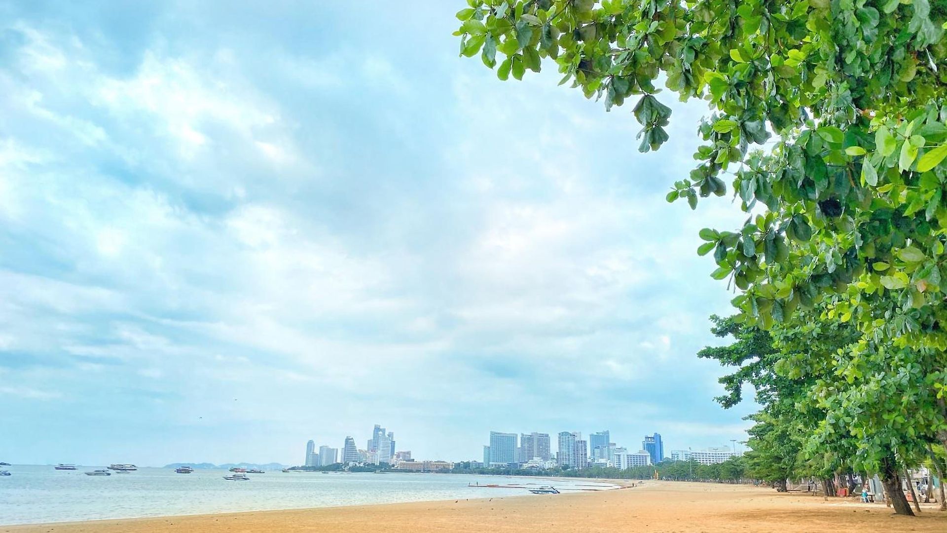 New Star 2*