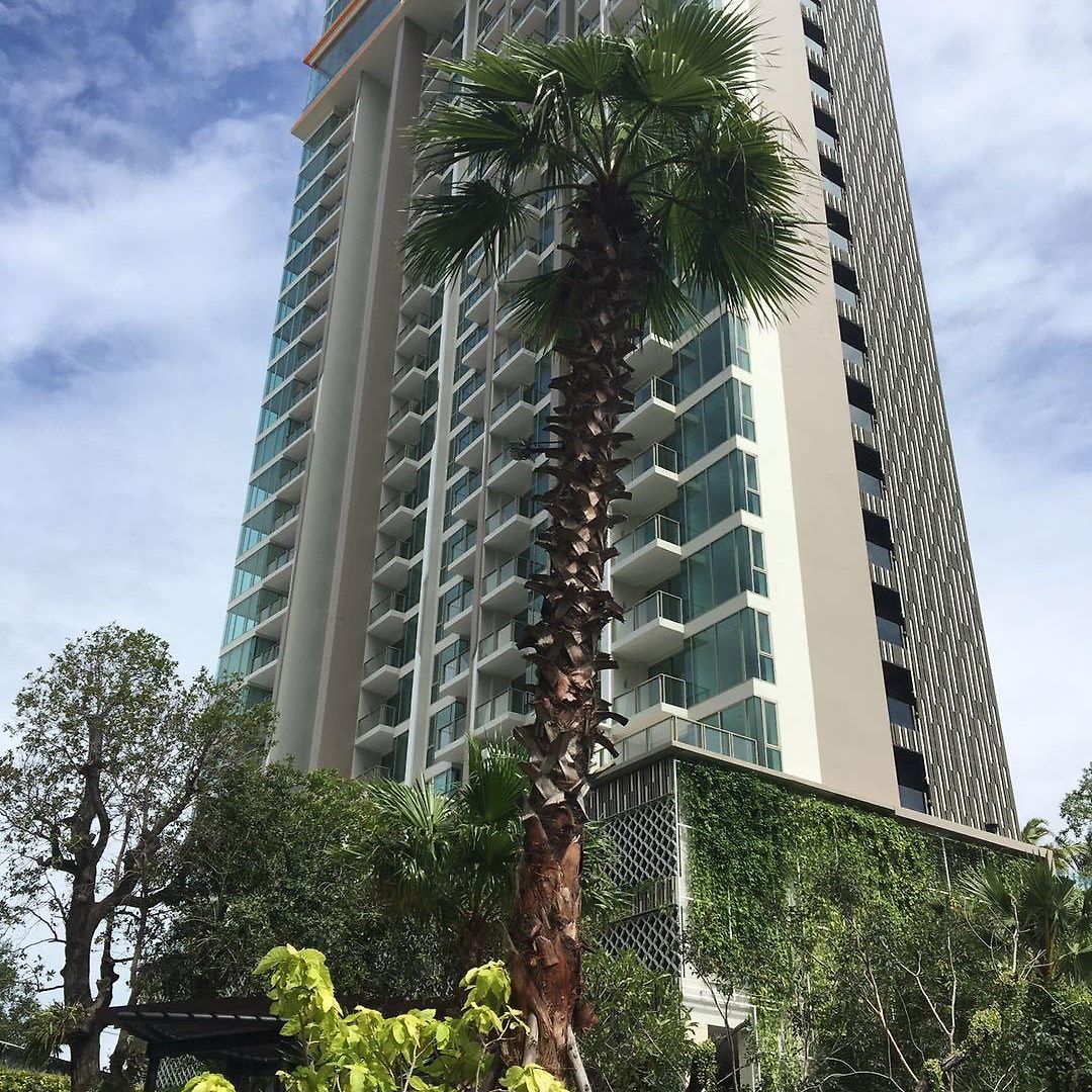 The Riviera Wongamat Hong *