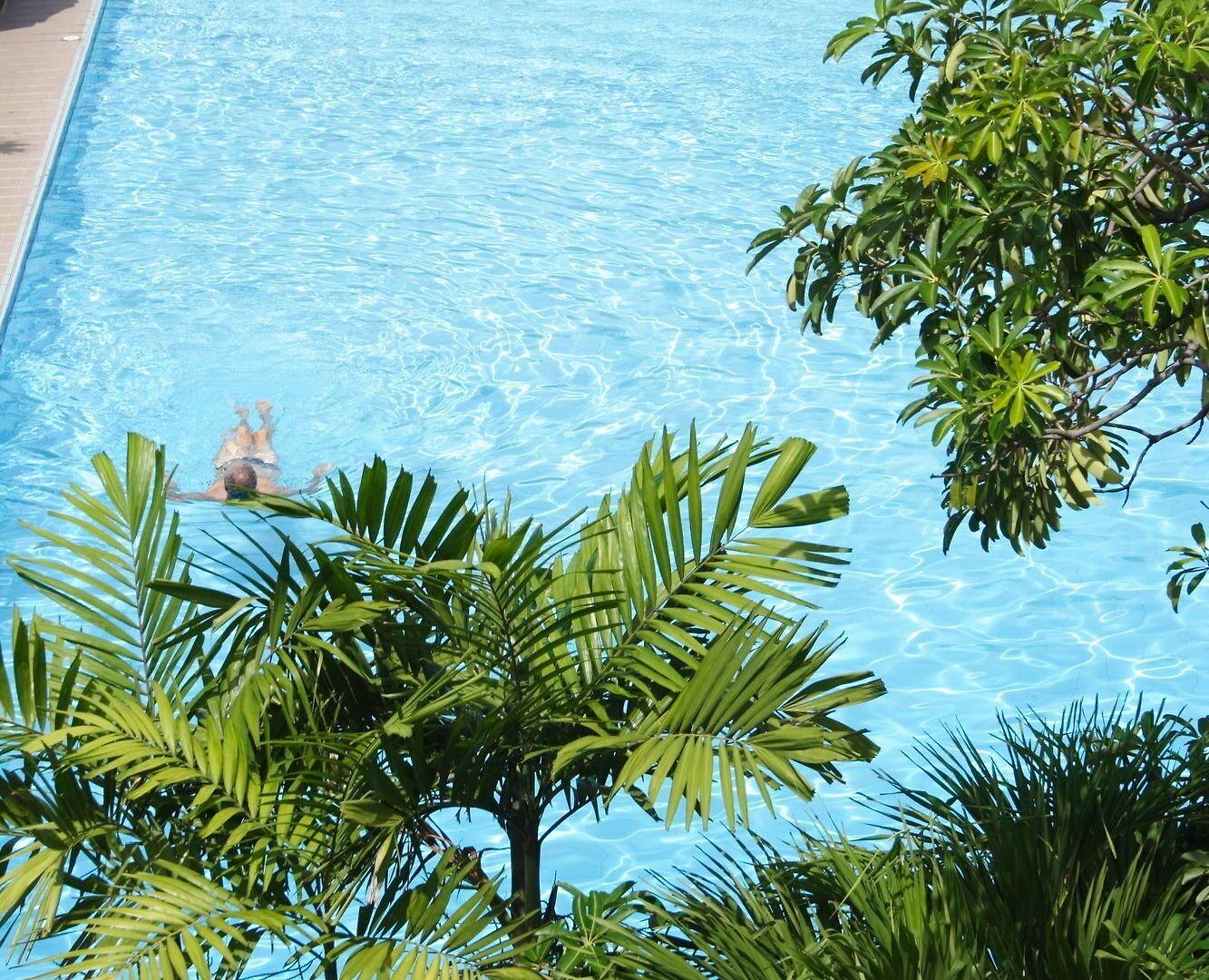 Palm Garden โรงแรม