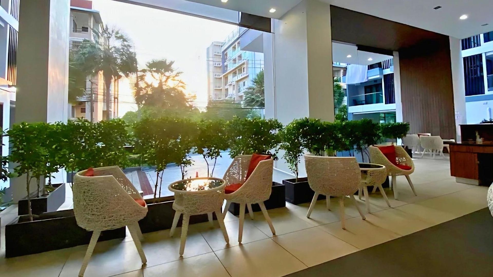 Laid Back Tropical Garden *