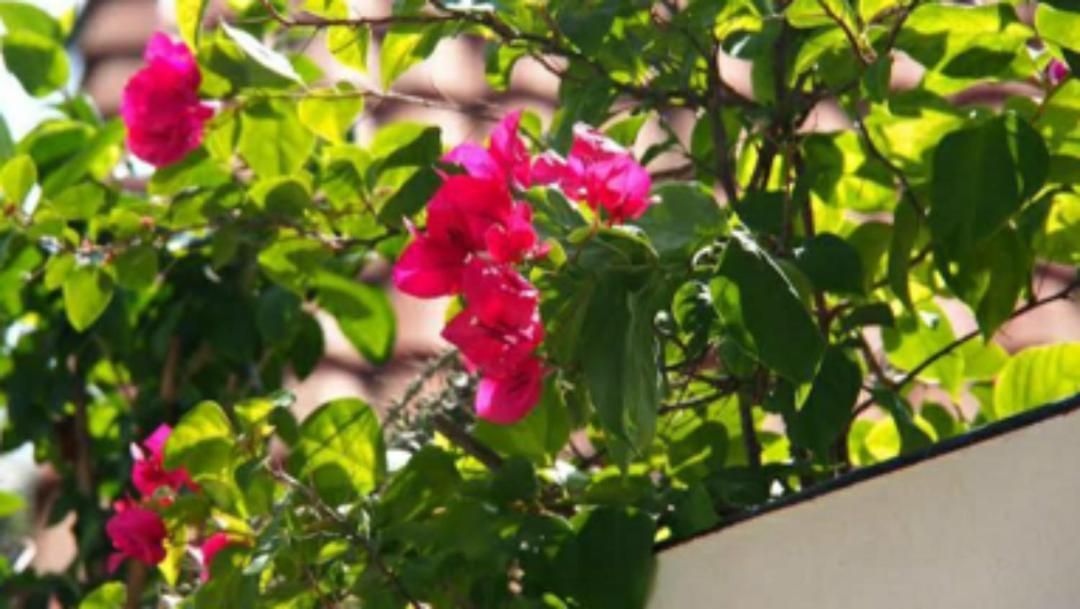 อพาร์ทเม้น Luxury Semi-2bed Pool Near & Walking Street! Pattaya