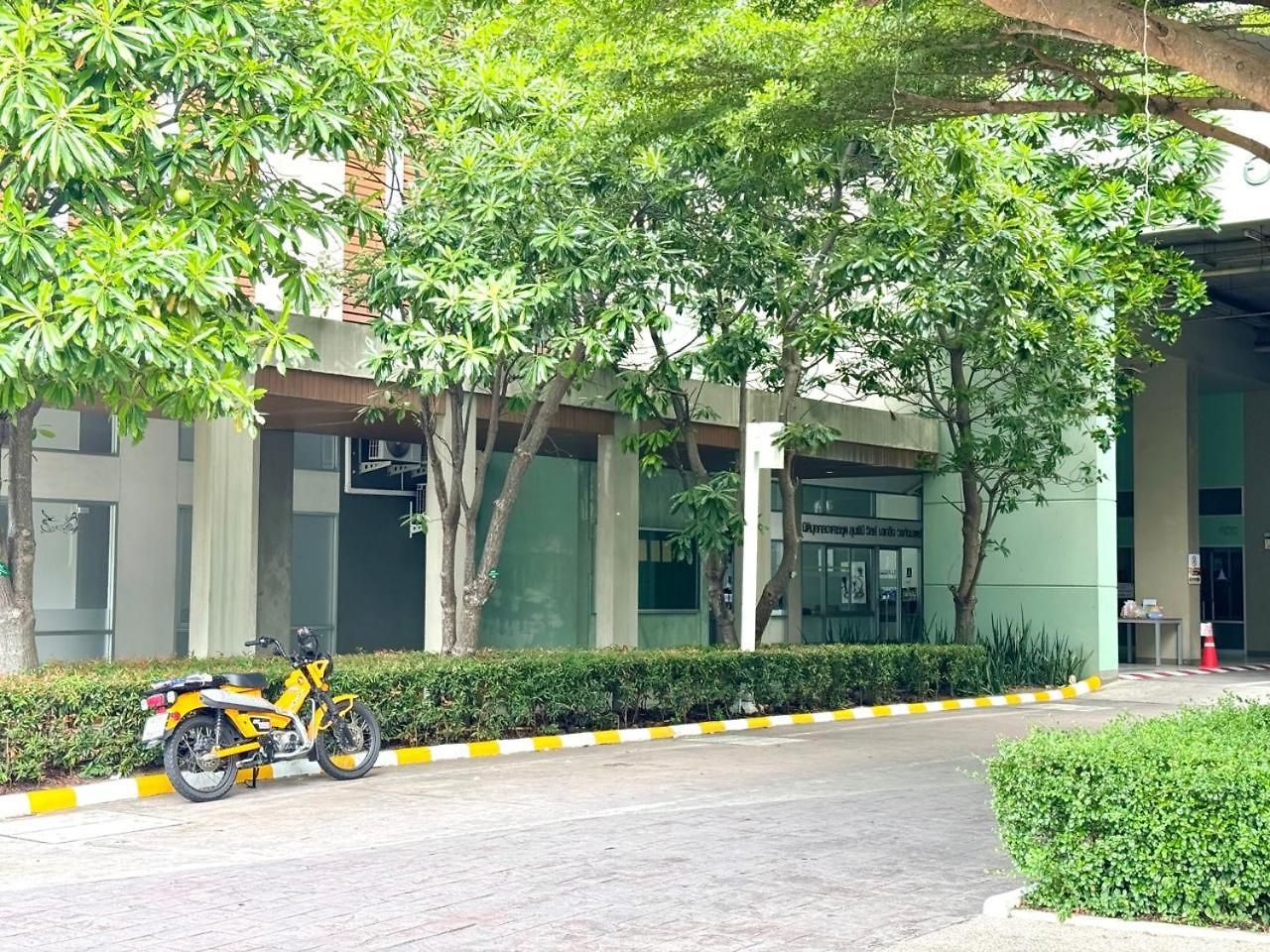 Lumpini Naklua Select Pool * Pattaya