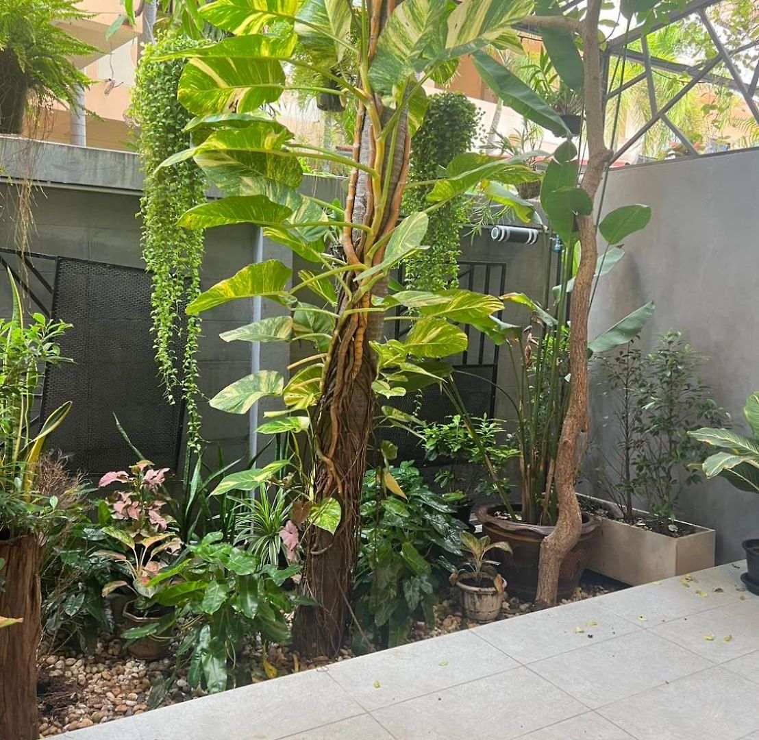 อพาร์ทเม้น Dad N Mom's House By Thongnak