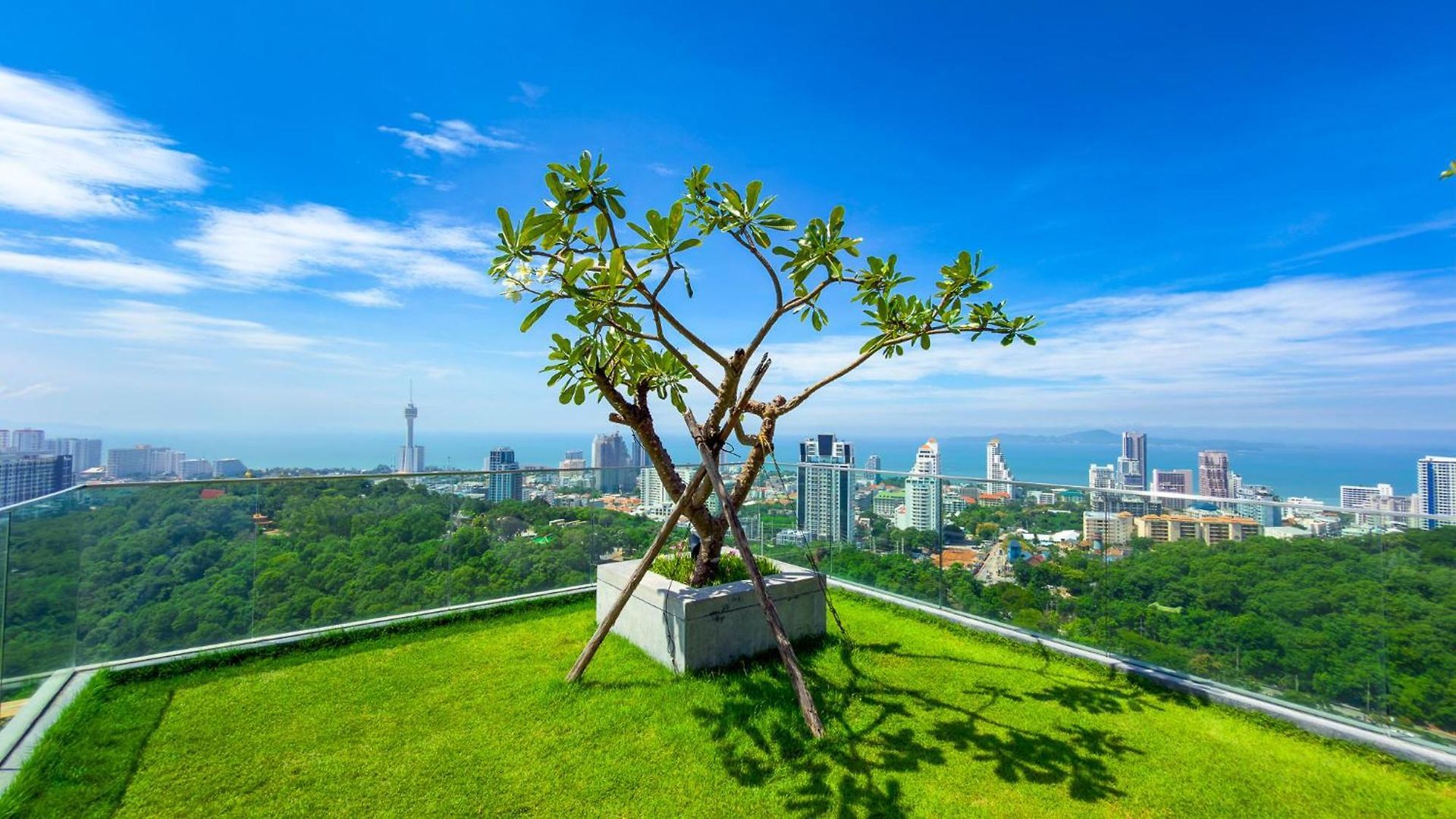 อพาร์ทเม้น Skyline Serenity By Mountain Park