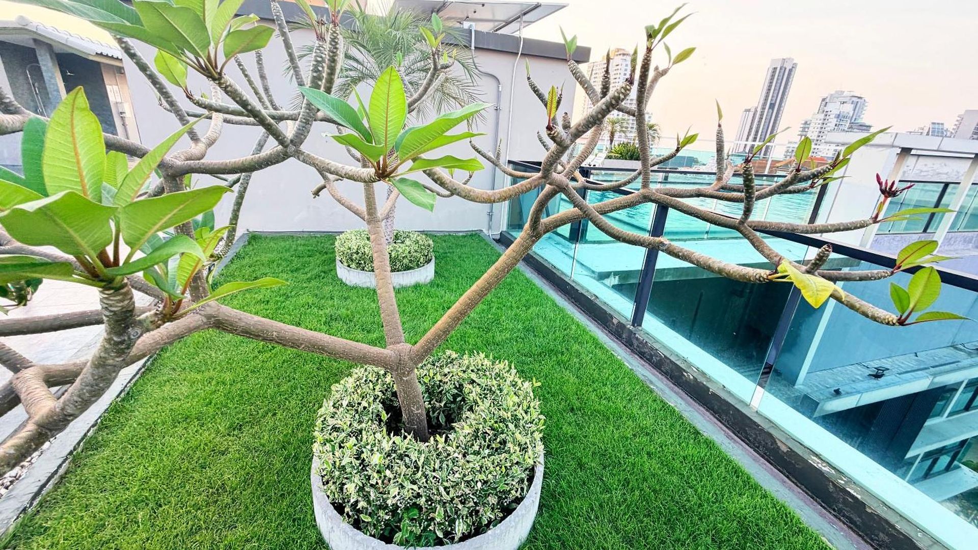 Apartment Cozy 2br Rooftop Swimming Pool Pratumnak *