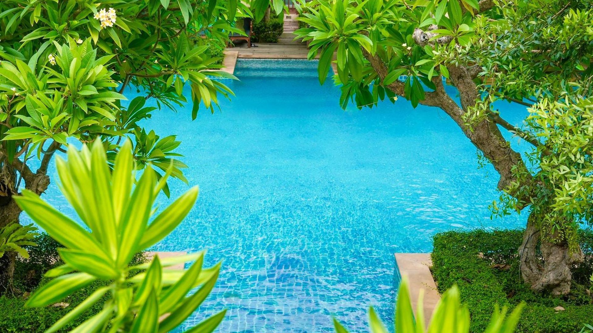 รีสอร์ท Avalon Pattaya