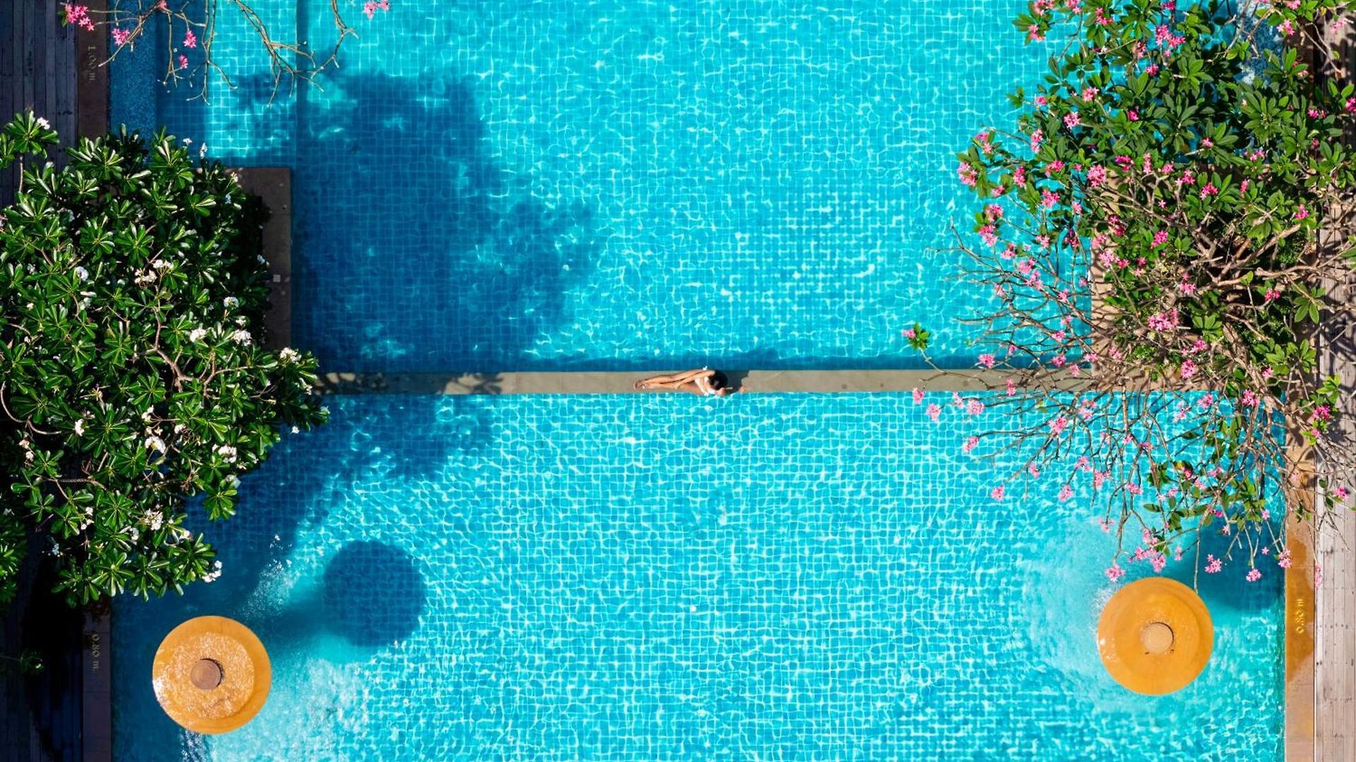 Avalon 5* Pattaya
