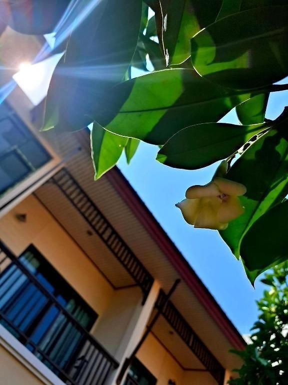 รีสอร์ท Lotusland Pattaya