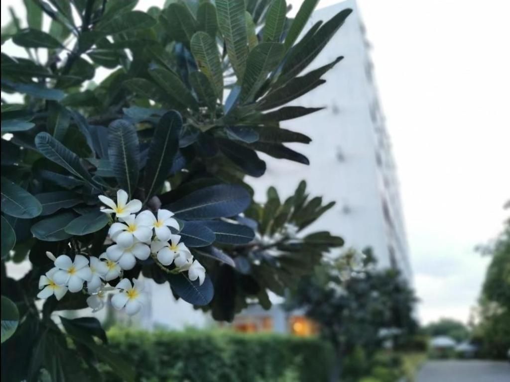 The Park โรงแรม Pattaya