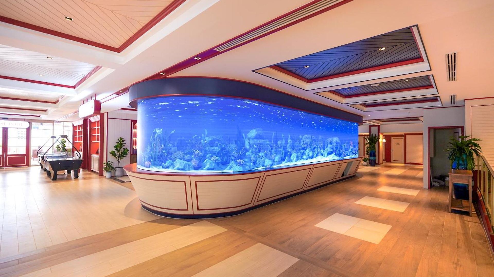 The Cruise 4*