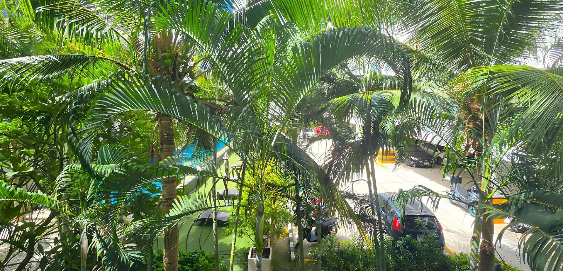 Water Park * Pattaya