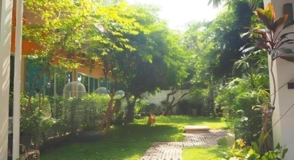 Bb House Pattaya