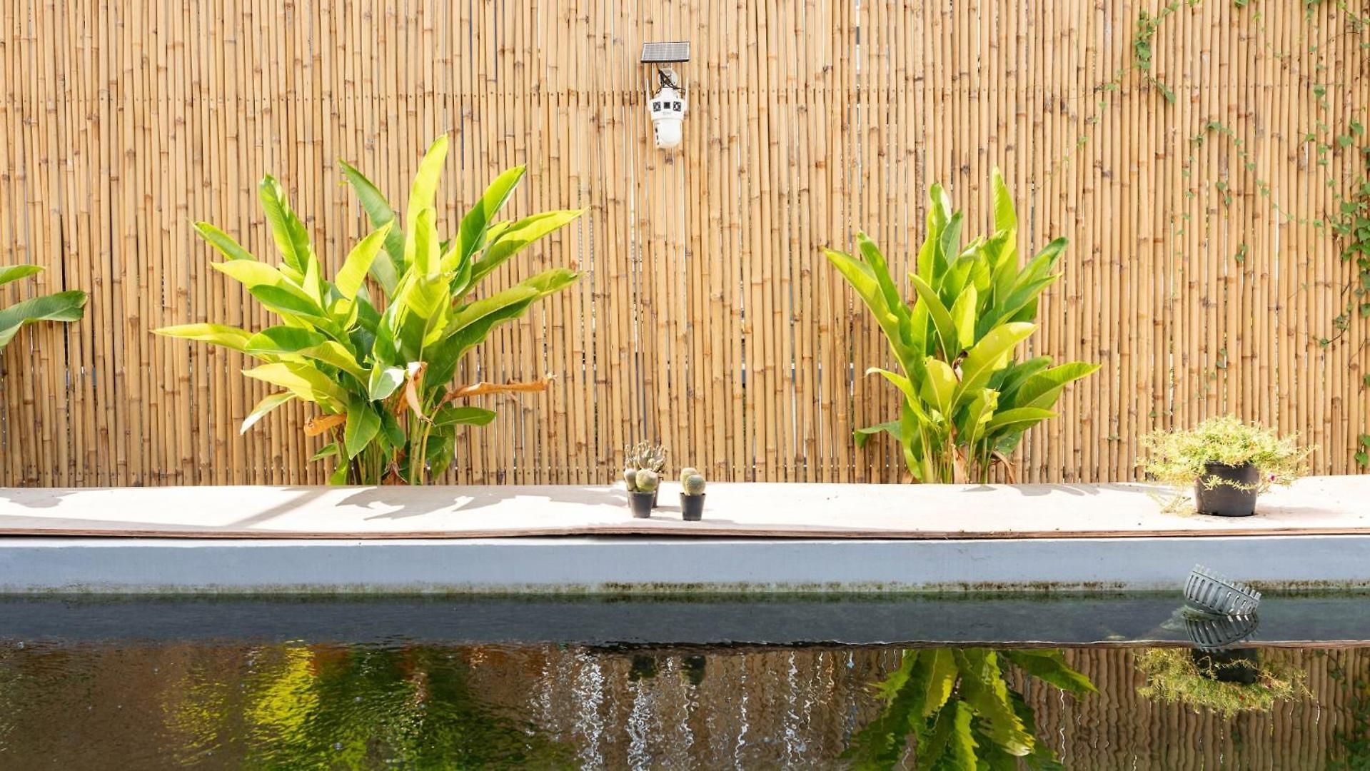 Downtown Oasis Pool Villa A *