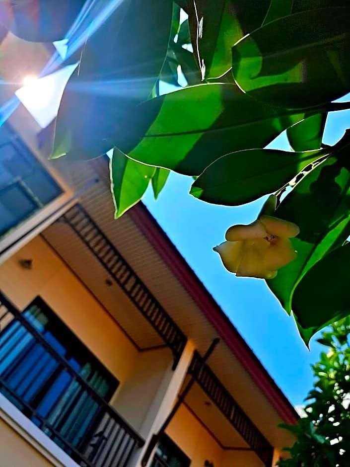 รีสอร์ท Lotusland Pattaya