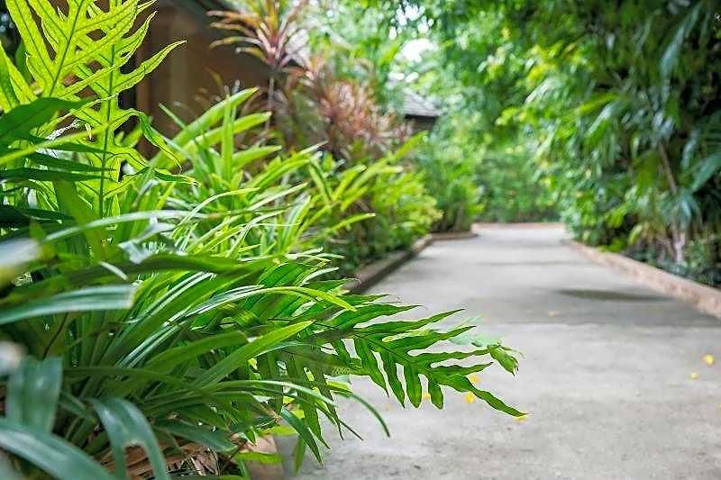 โรงแรม Plumeria Pattaya