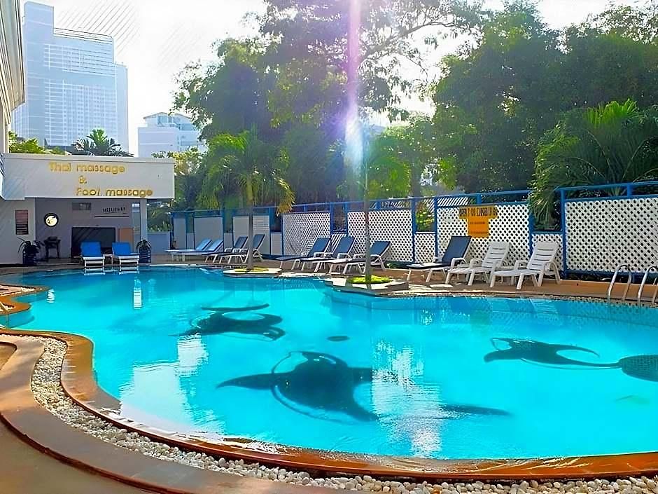 The Camelot โรงแรม 4*