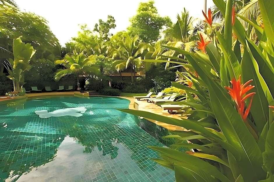Rabbit Resort Pattaya