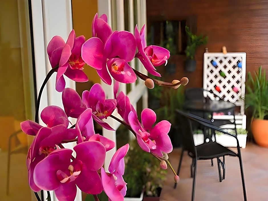 Seedling House 2* Pattaya