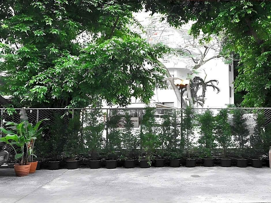 บ้านพัก Seedling House