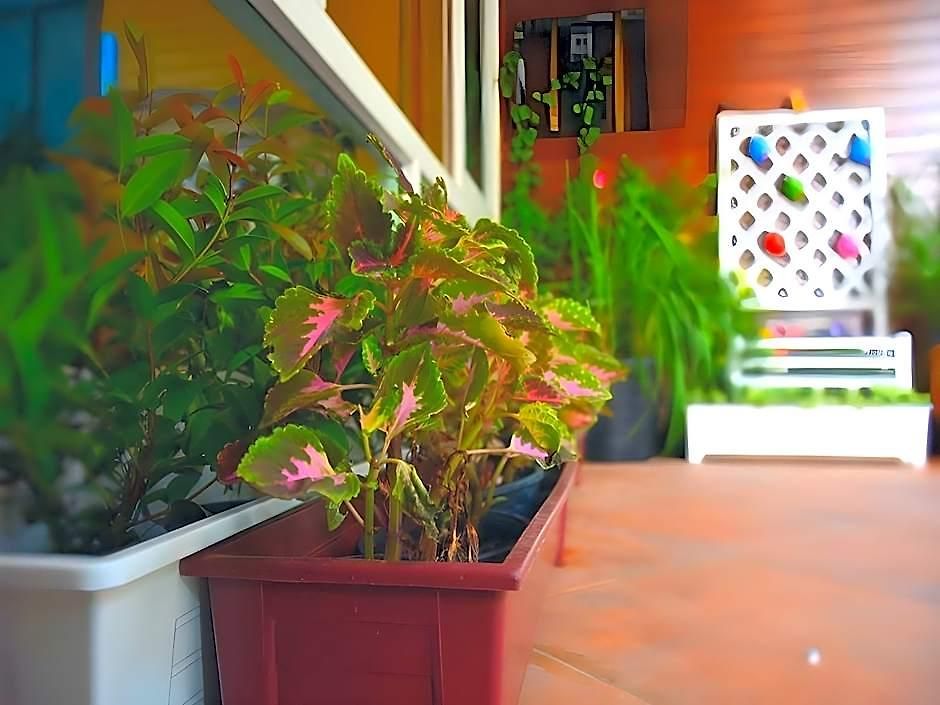 Seedling House 2* Pattaya