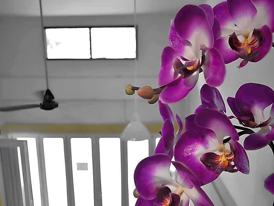 Seedling House