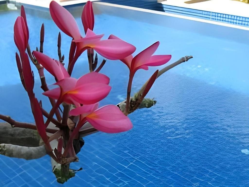 Resort Lee Garden Pattaya