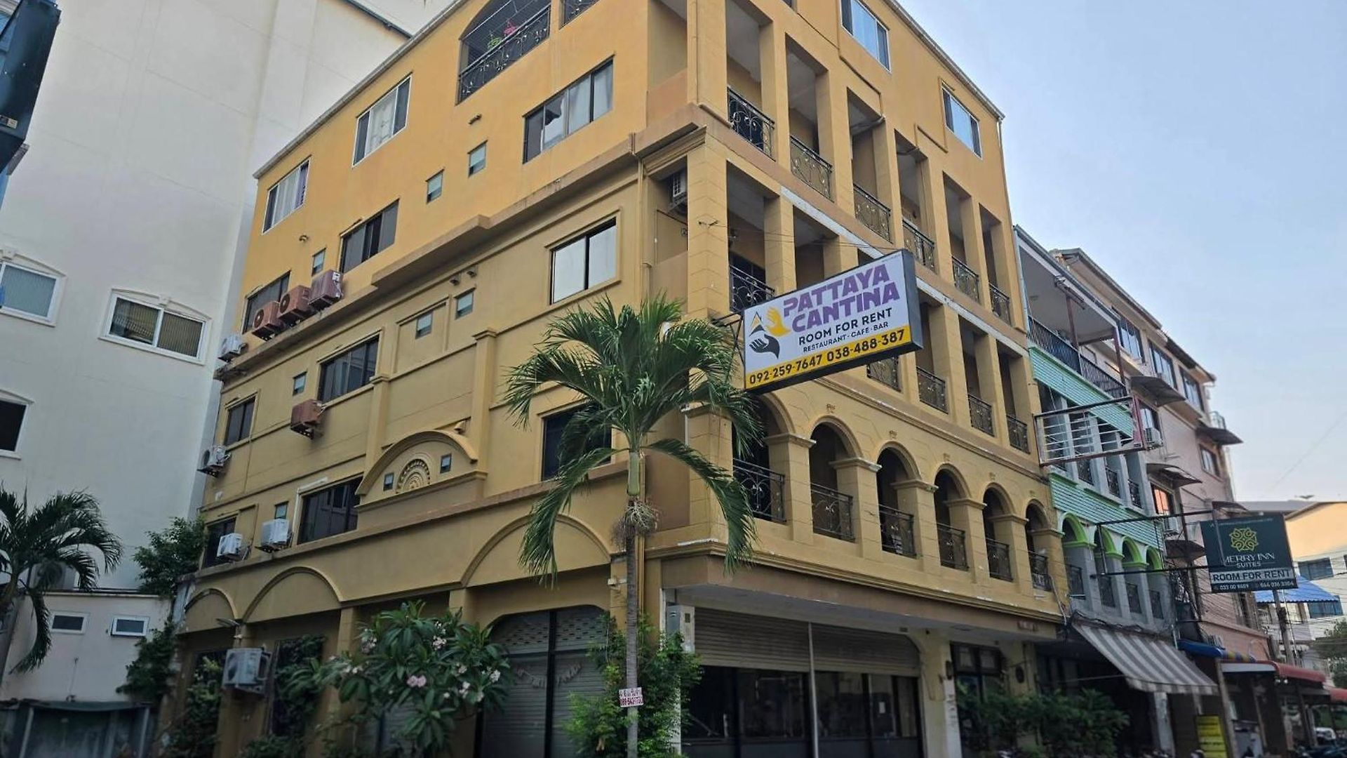 The Royal Cantina Near Walking Steer *