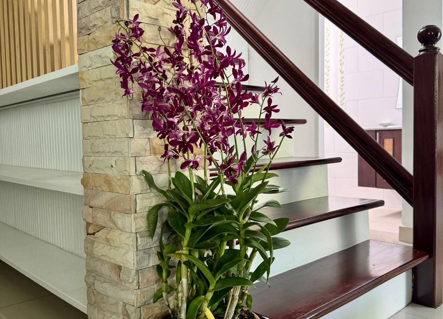 Lion Queen 5-bedroom Pool Villa Pattaya