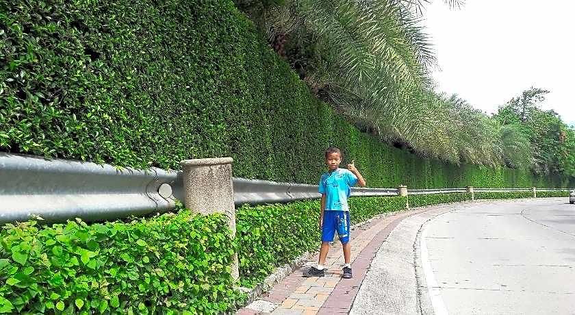 Guest house Nong 3*