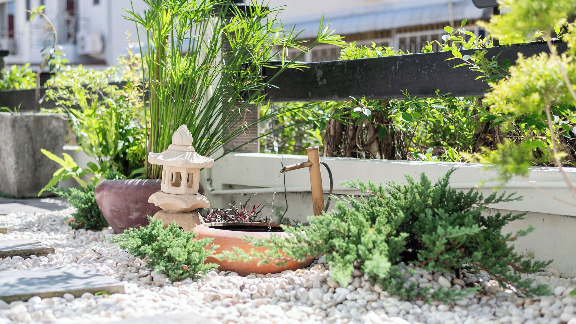 โรงแรม Kokotel North