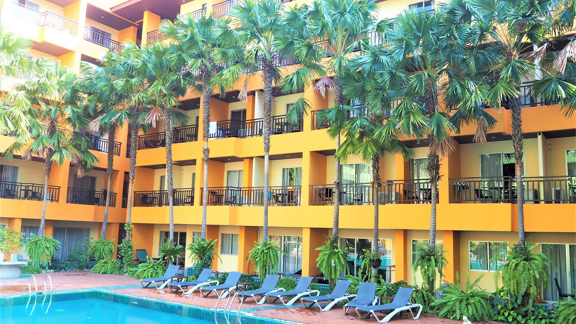 Mind Pattaya