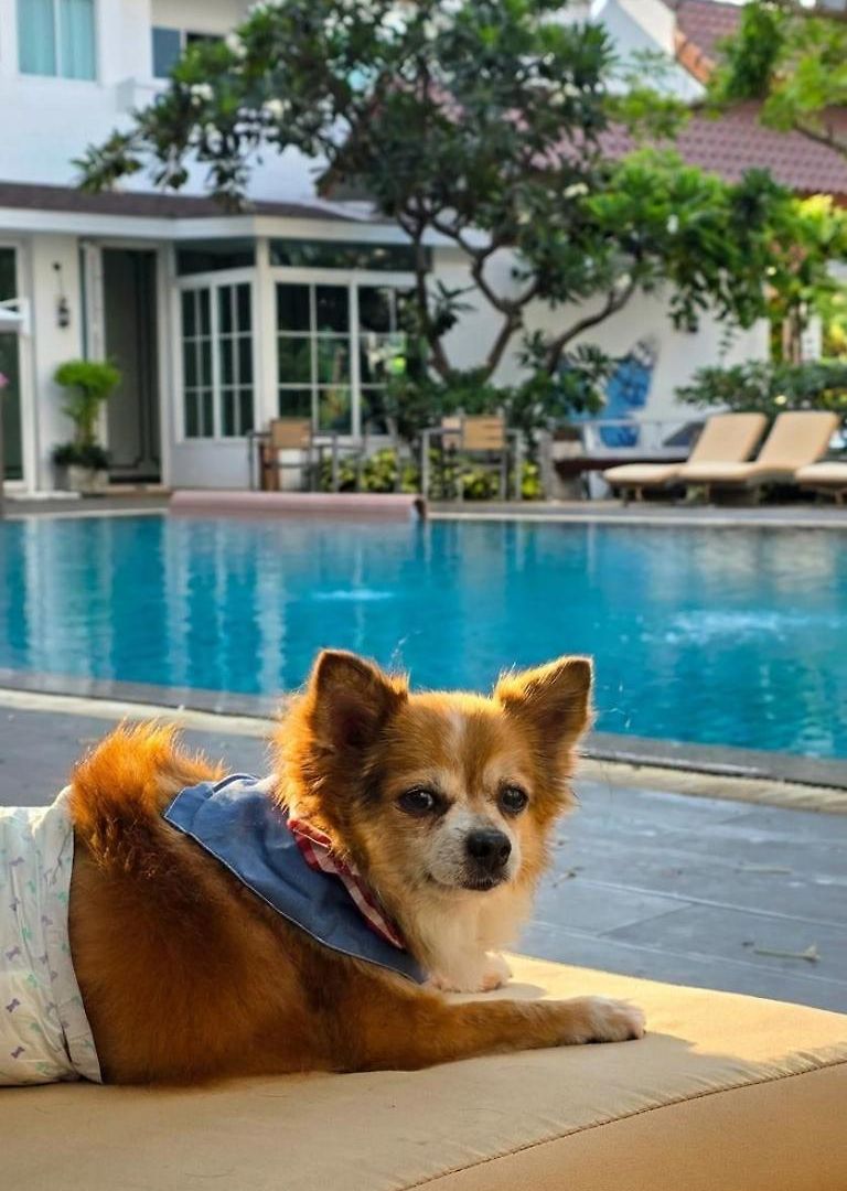 Hill Fresco โรงแรม Pattaya