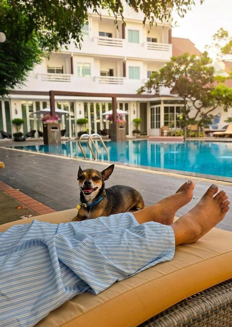 โรงแรม Hill Fresco Pattaya