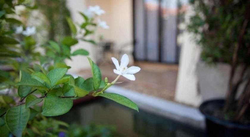 รีสอร์ท Lotusland 3*