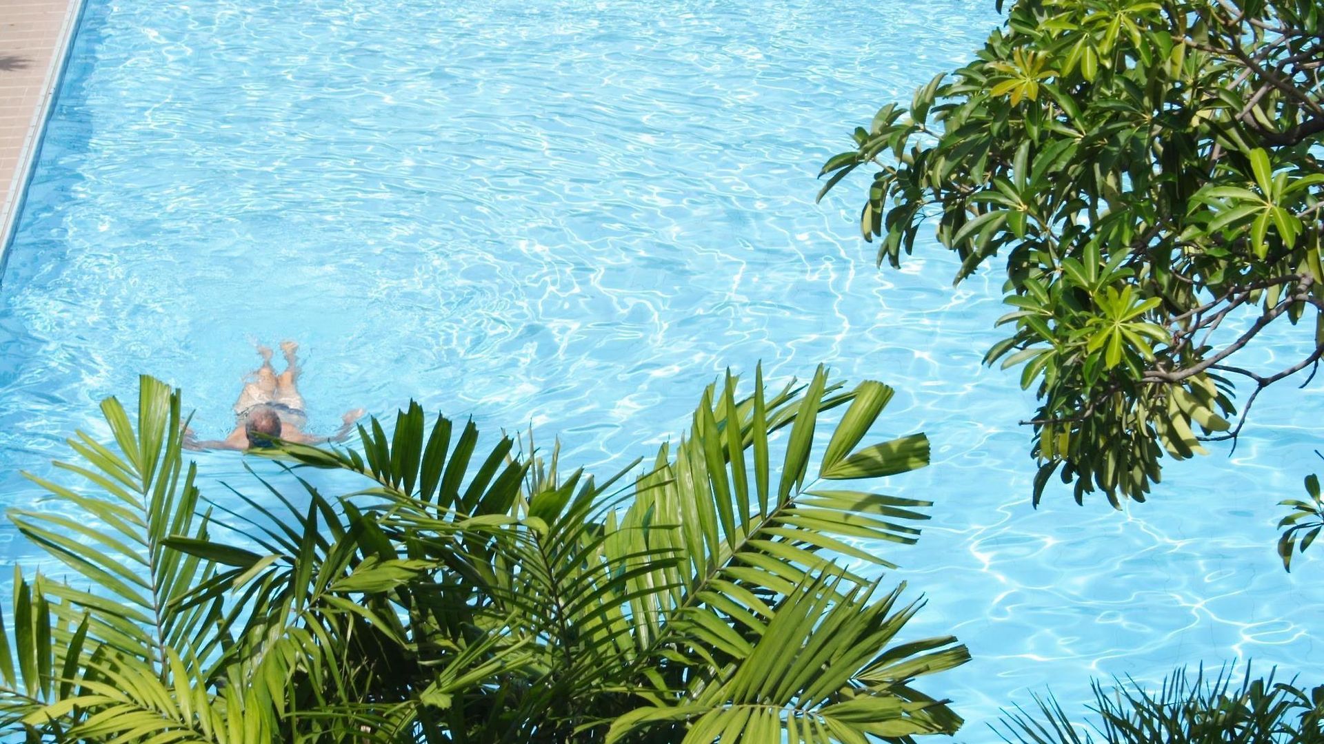 Palm Garden โรงแรม