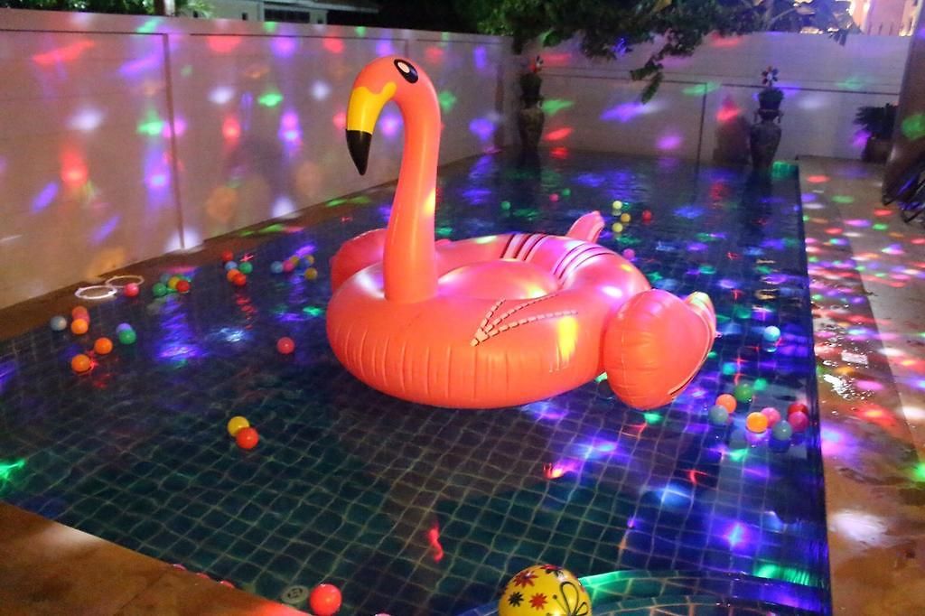 Nina Pool