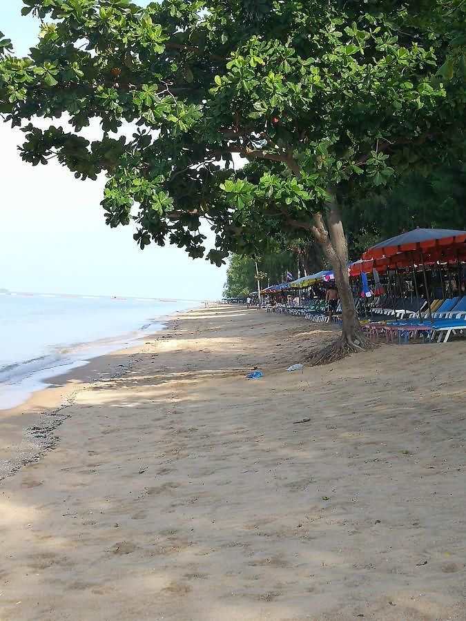 อพาร์ทเม้น View Talay 5c *