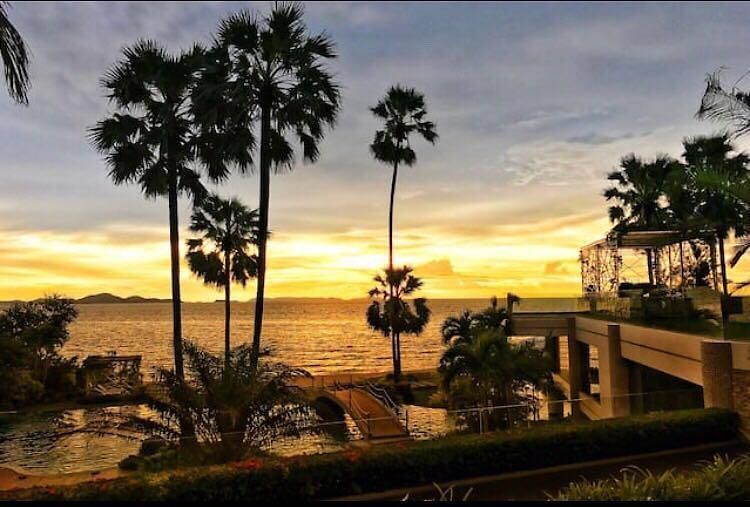 อพาร์ทเม้น The Palm Wongamat Pattaya
