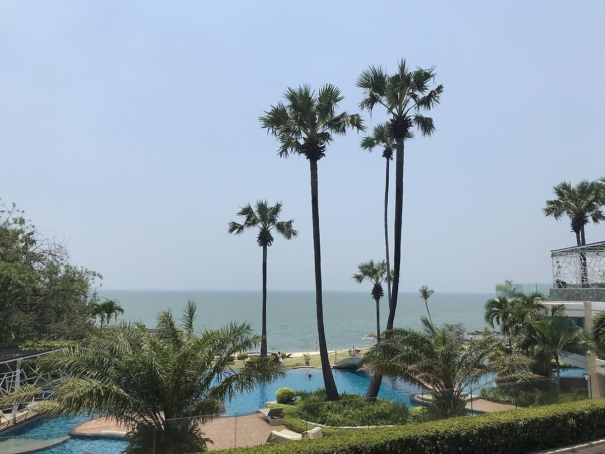 The Palm Wongamat อพาร์ทเม้น *