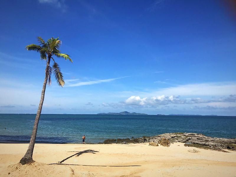 อพาร์ทเม้น The Palm Front