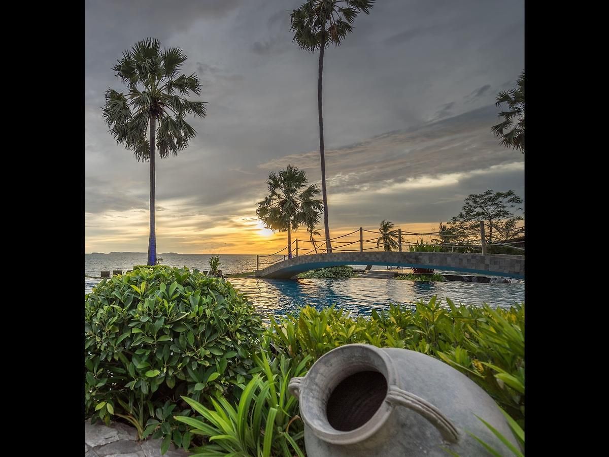 The Palm Front *