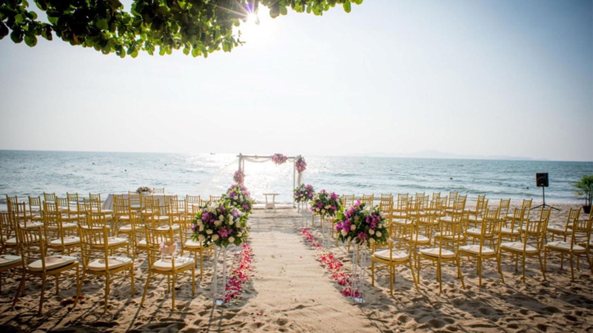 Birds And Bees 3* Pattaya