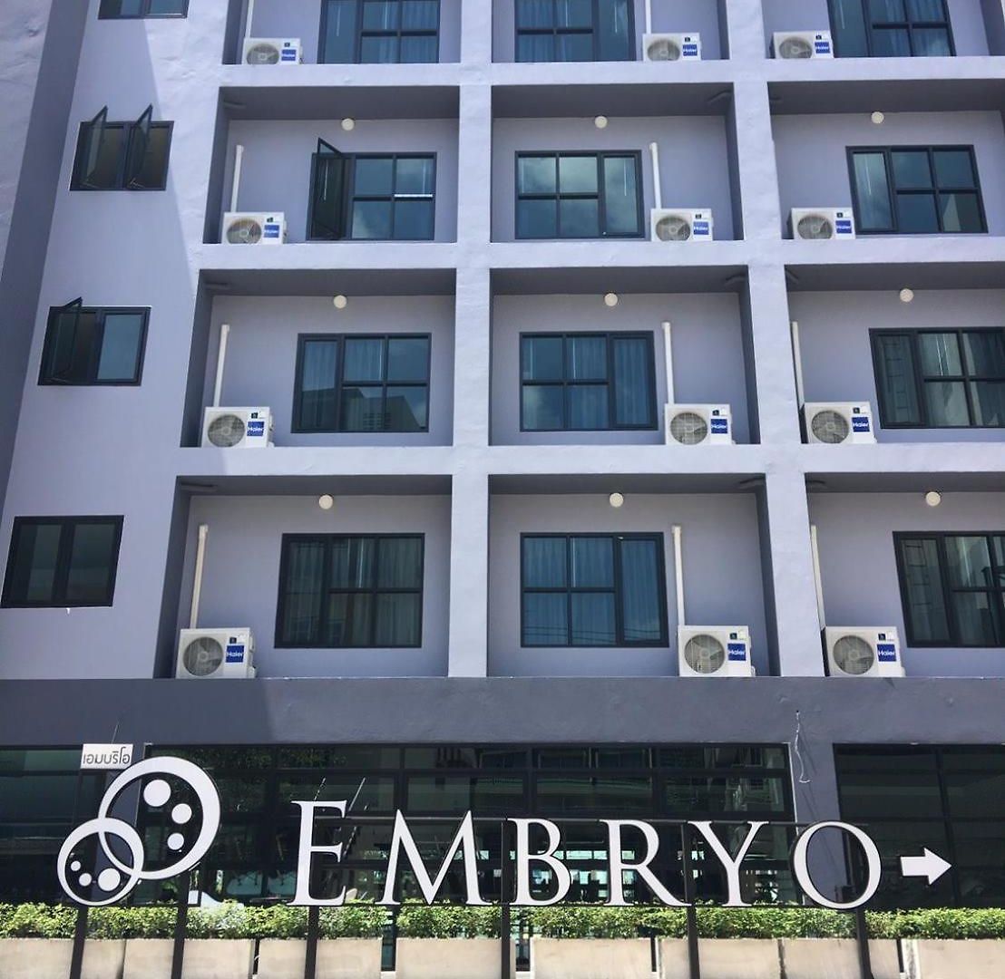 Embryo 4*