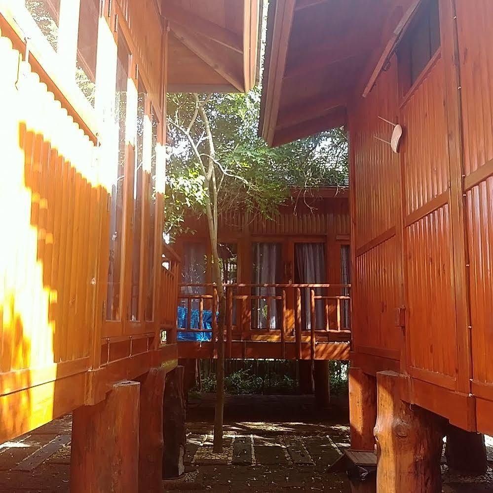 Wood House