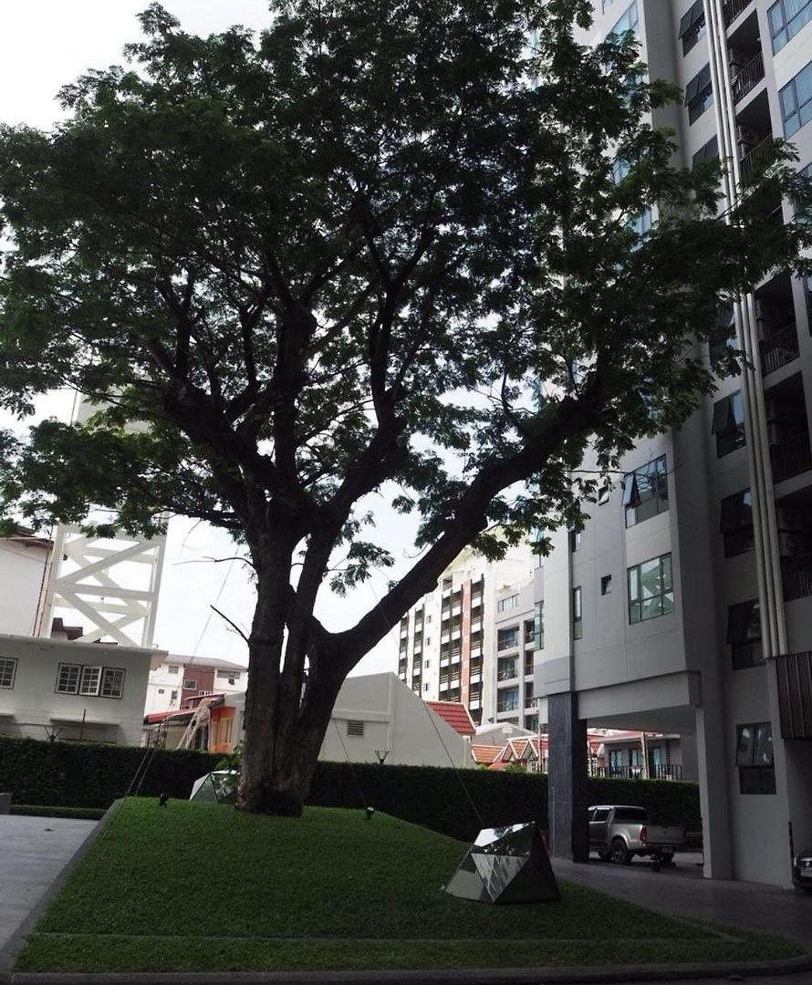 The Base Central อพาร์ตโฮเทล 3*