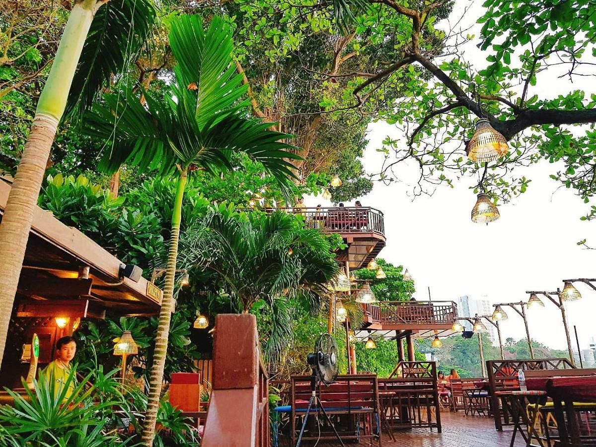 Birds And Bees Pattaya