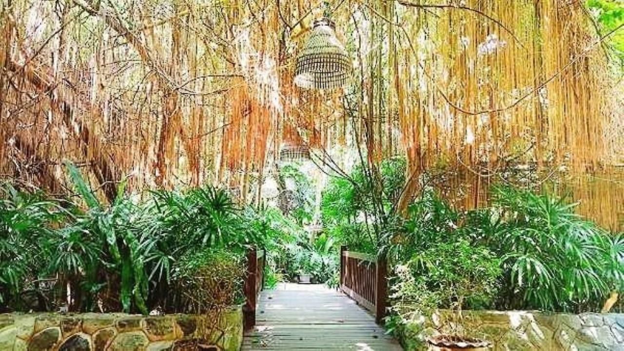 Birds And Bees Pattaya