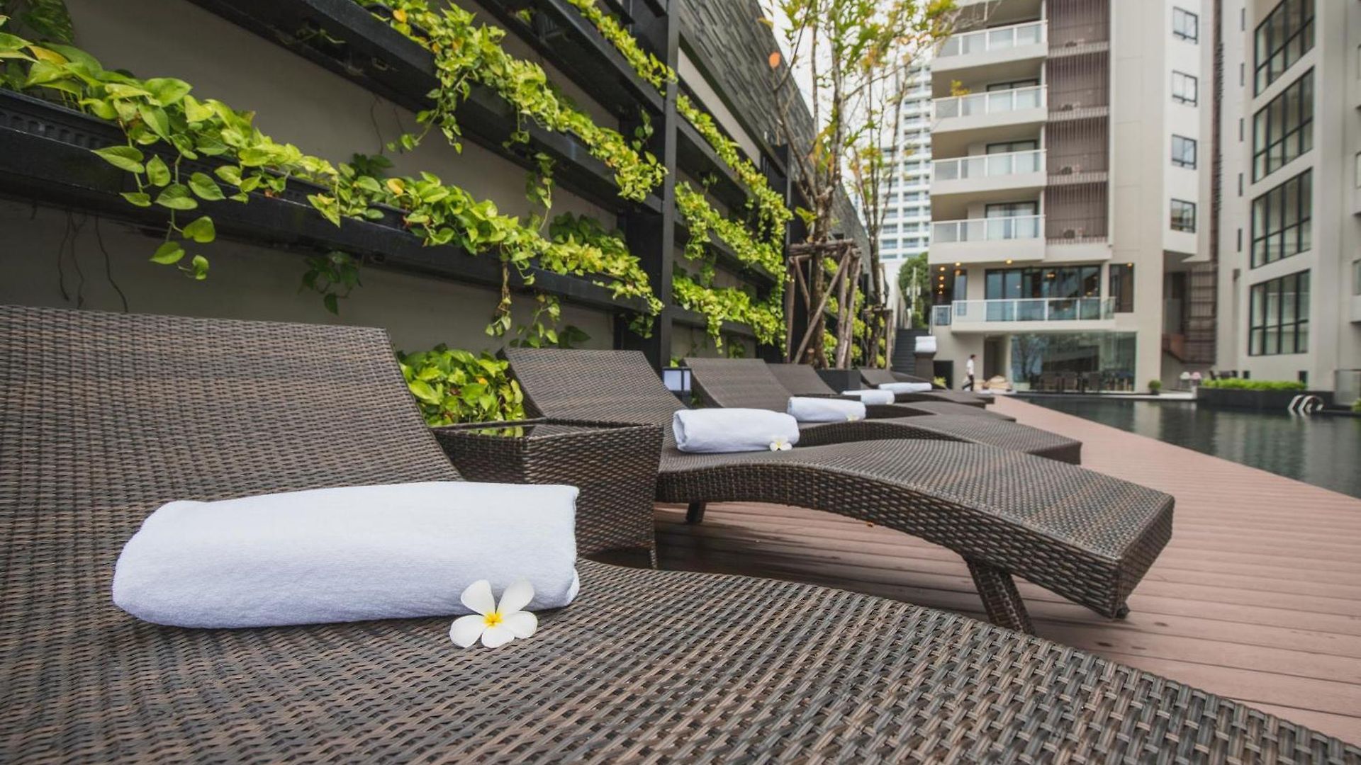 โกลเดน ทิวลิป พัทยา บีช รีสอร์ต โรงแรม Pattaya