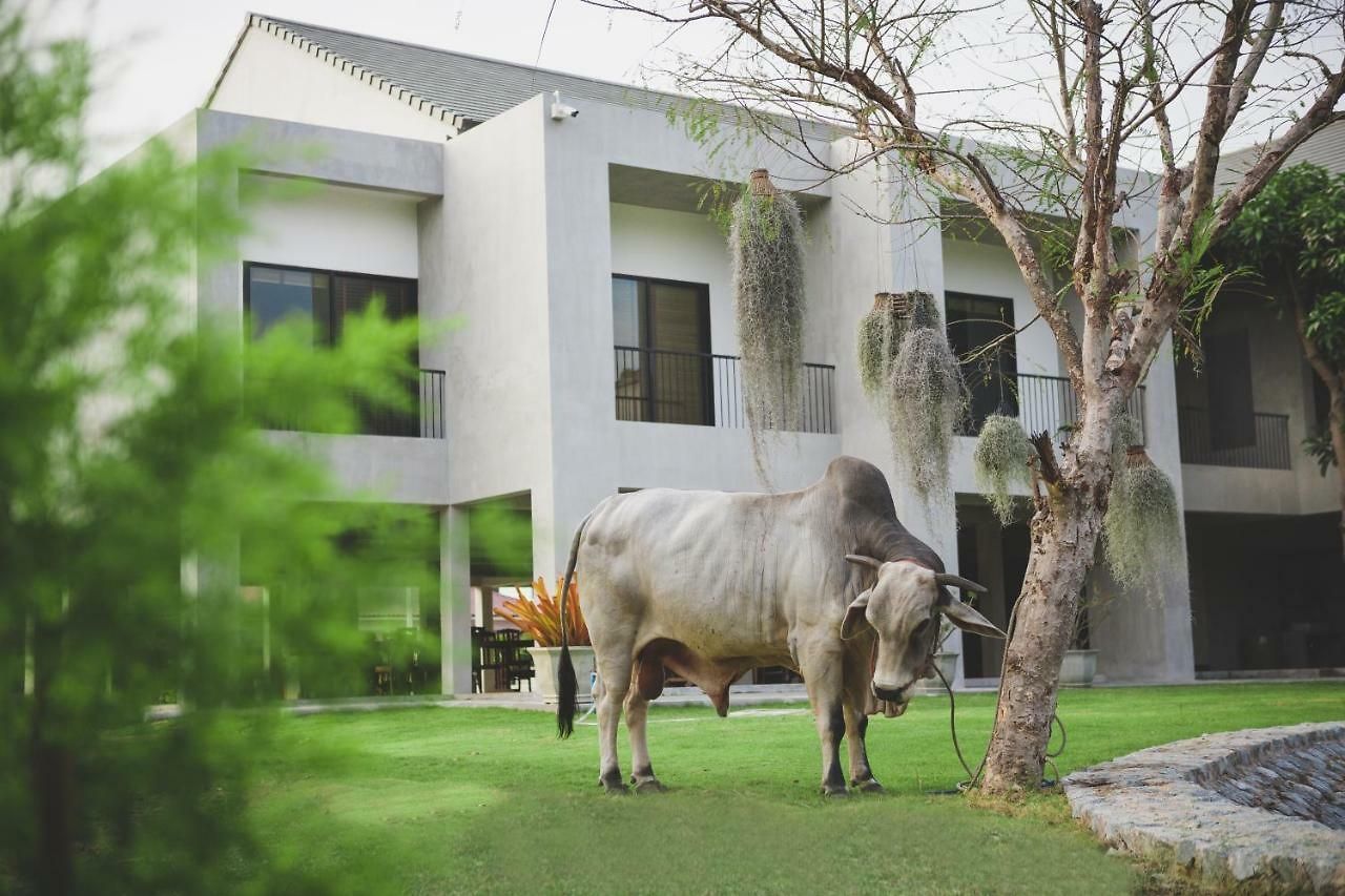 Resort Purida Garden 3*